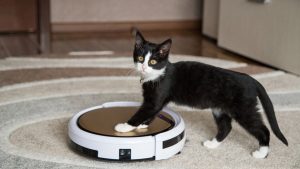 Как почистить сенсоры и камеры робота-пылесоса?